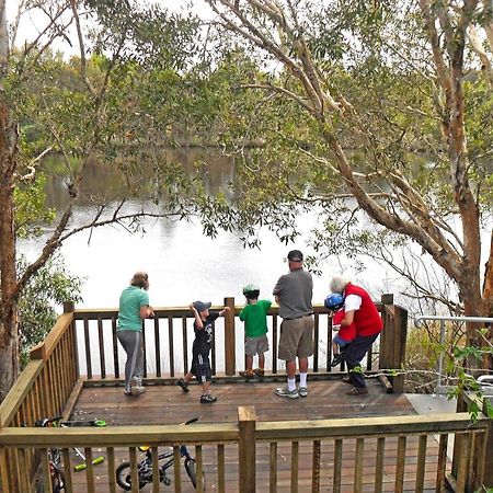 Kirra Beach Tourist Park Coolangatta Екстер'єр фото